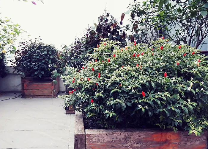The Ann Hanoi Hotel & Spa